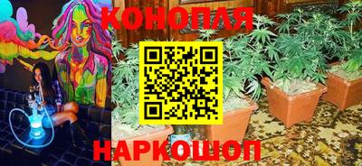сатива Бугуруслан